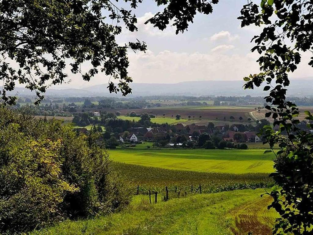 Hotel Weinschanke Rohdental Hessisch Oldendorf Екстер'єр фото